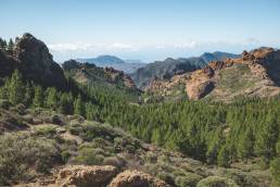 Wunderschöne Aussicht vom Wanderweg auf die Wälder und Berge von Gran Canaria