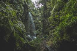 Wasserfall Los Tilos mit dem Regenwald