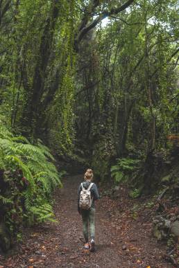 Julia auf dem Wanderweg durch den Regenwald auf La Palma